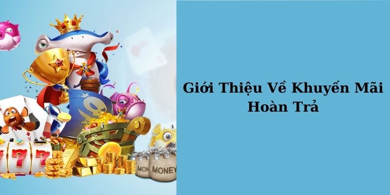 Giới thiệu khuyến mãi hoàn trả nhà cái BONG789